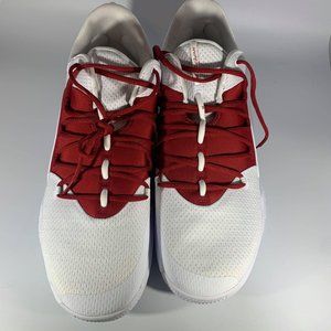 Nike Zoom Hyperdunk X Low Size 17